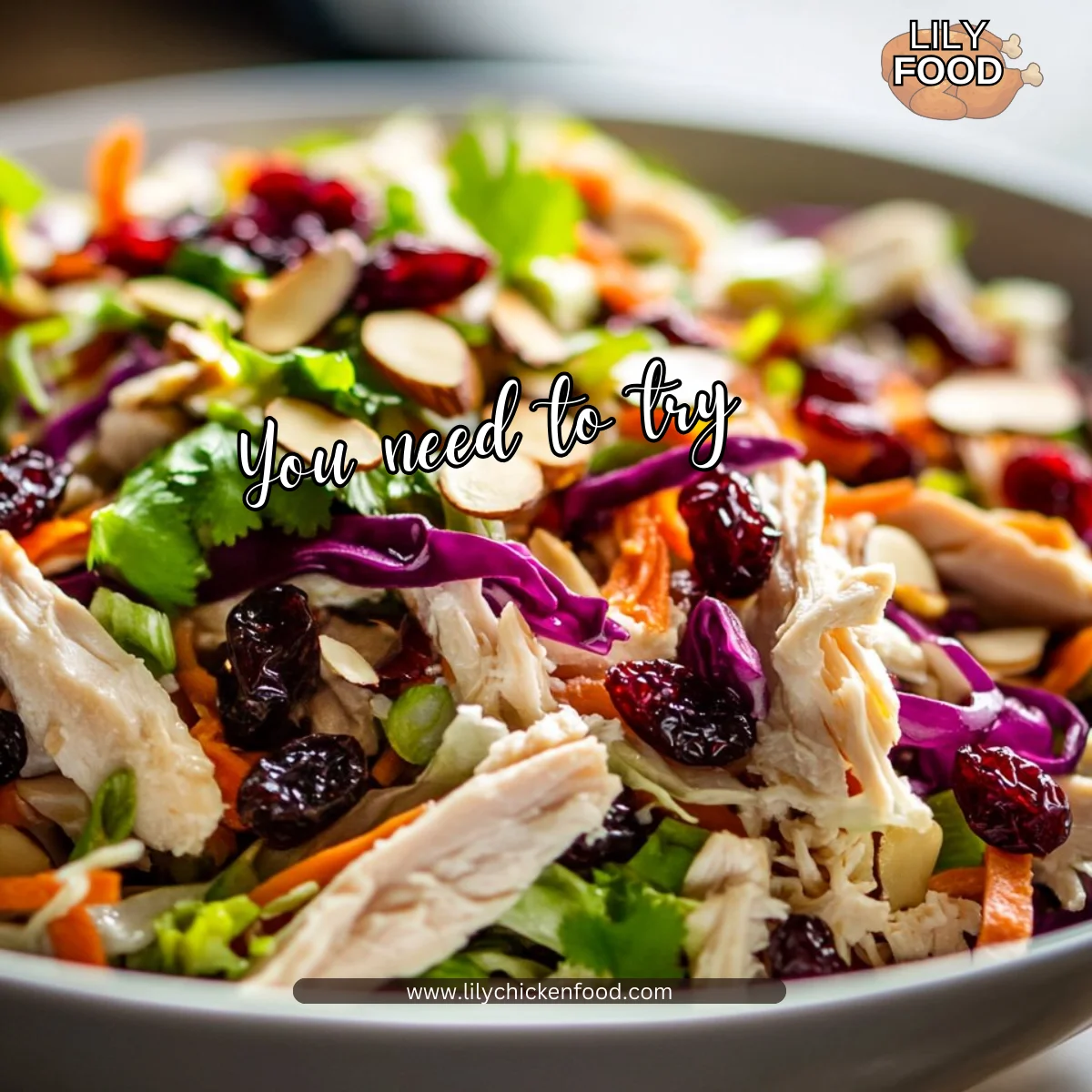 Asian Chicken Cranberry Salad