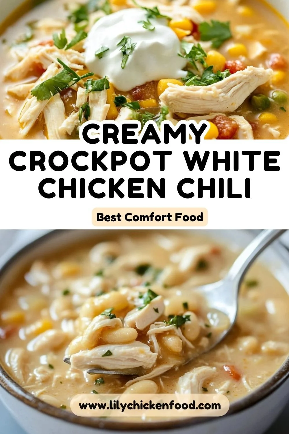 This White Chicken Chili recipe is easy to make on the Stove Top or in the Slow Cooker!