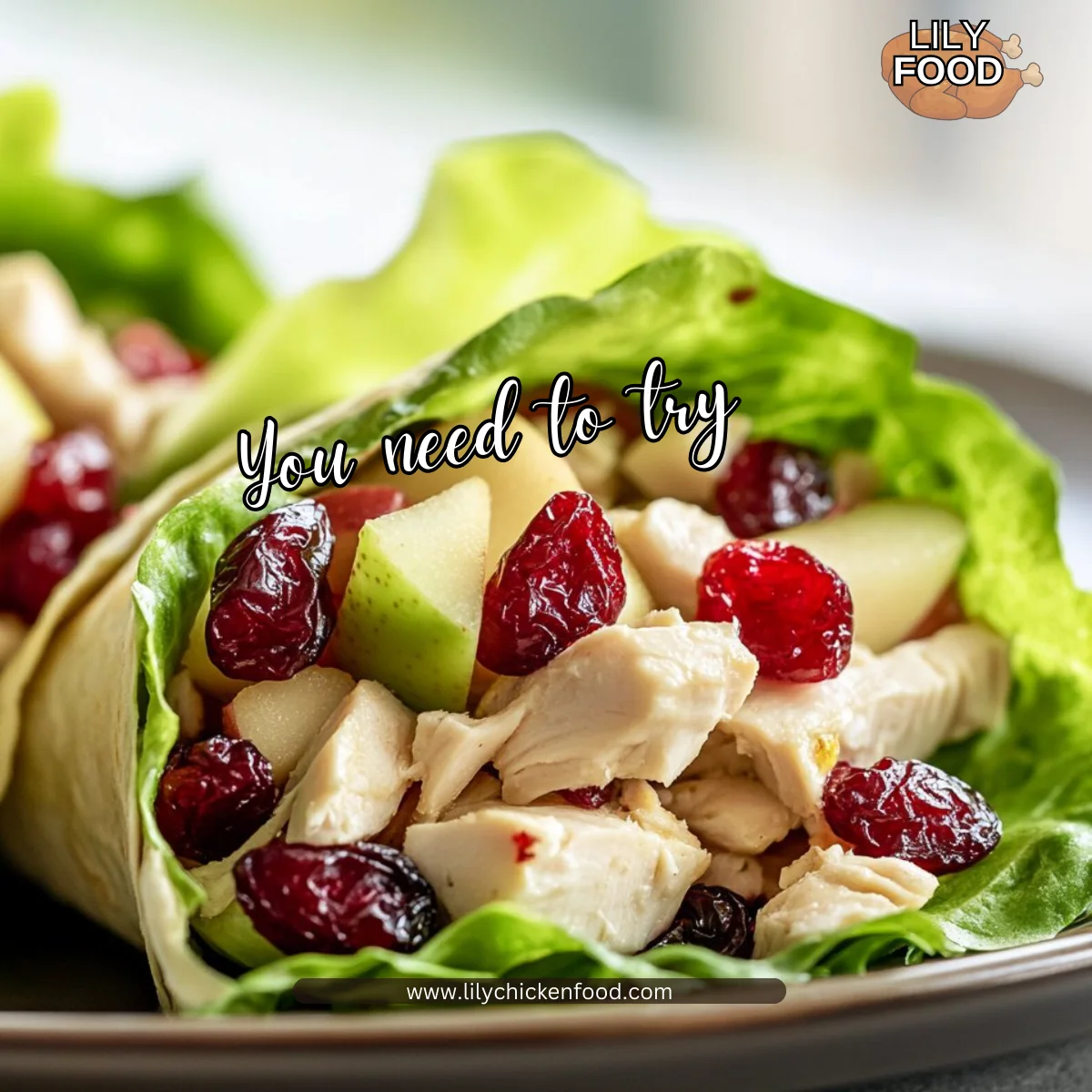 Cranberry Chicken Wraps