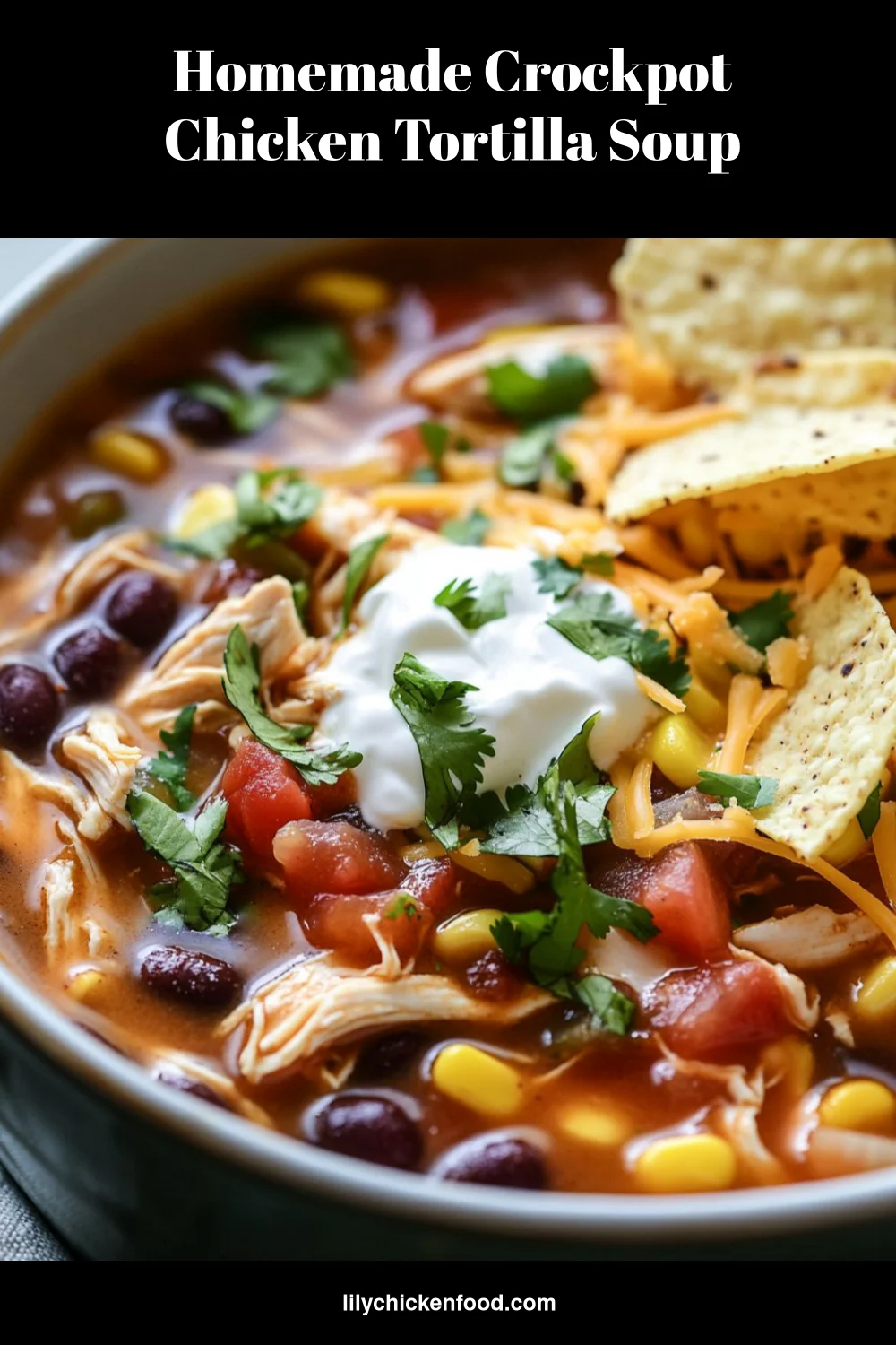 Homemade Crockpot Chicken Tortilla Soup