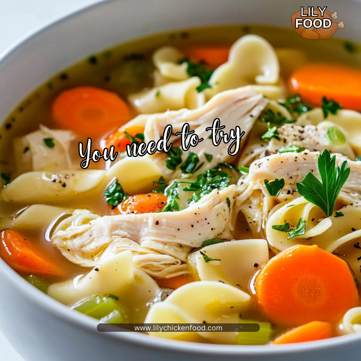 Slow Cooker Chicken Noodle Soup