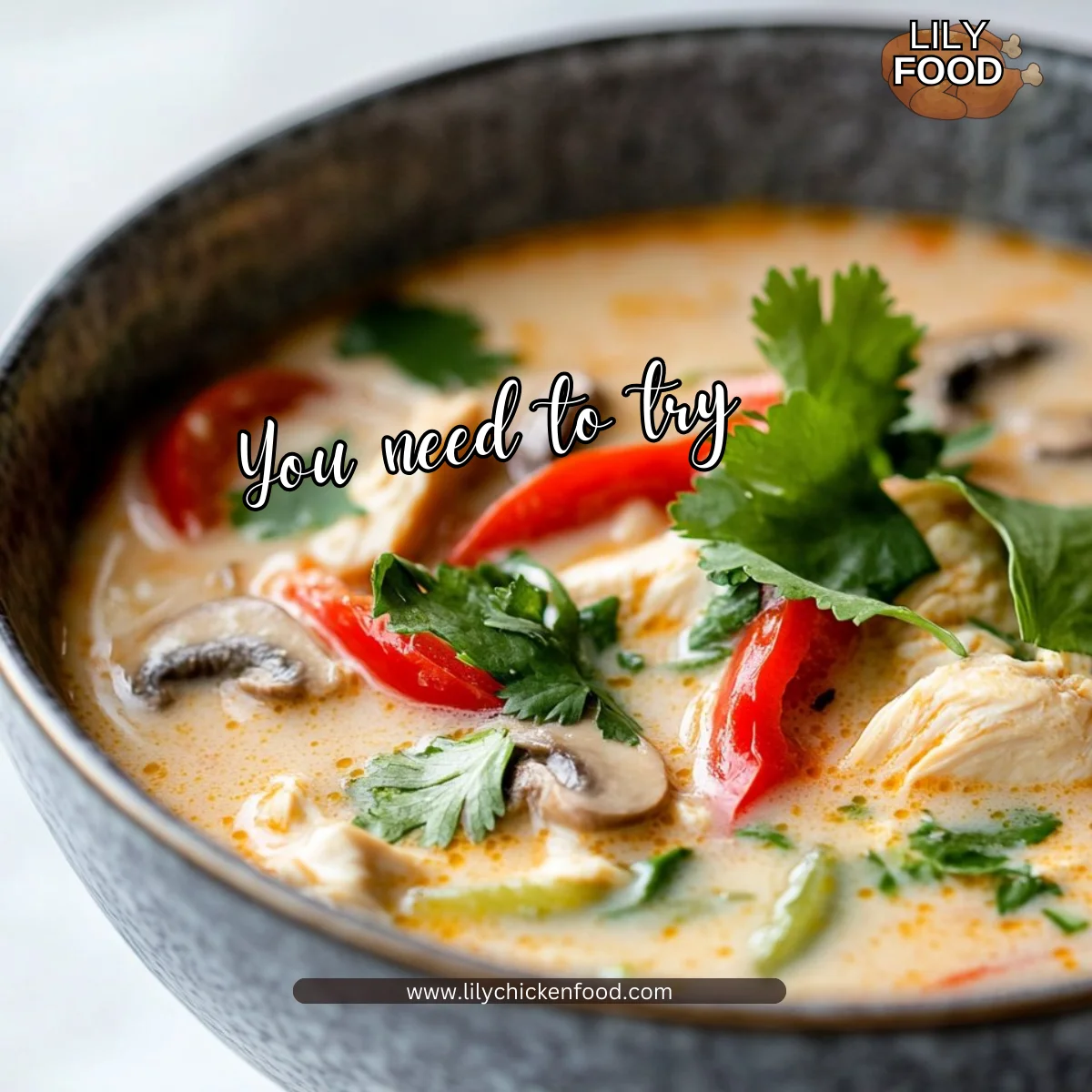 Thai Inspired Chicken Soup