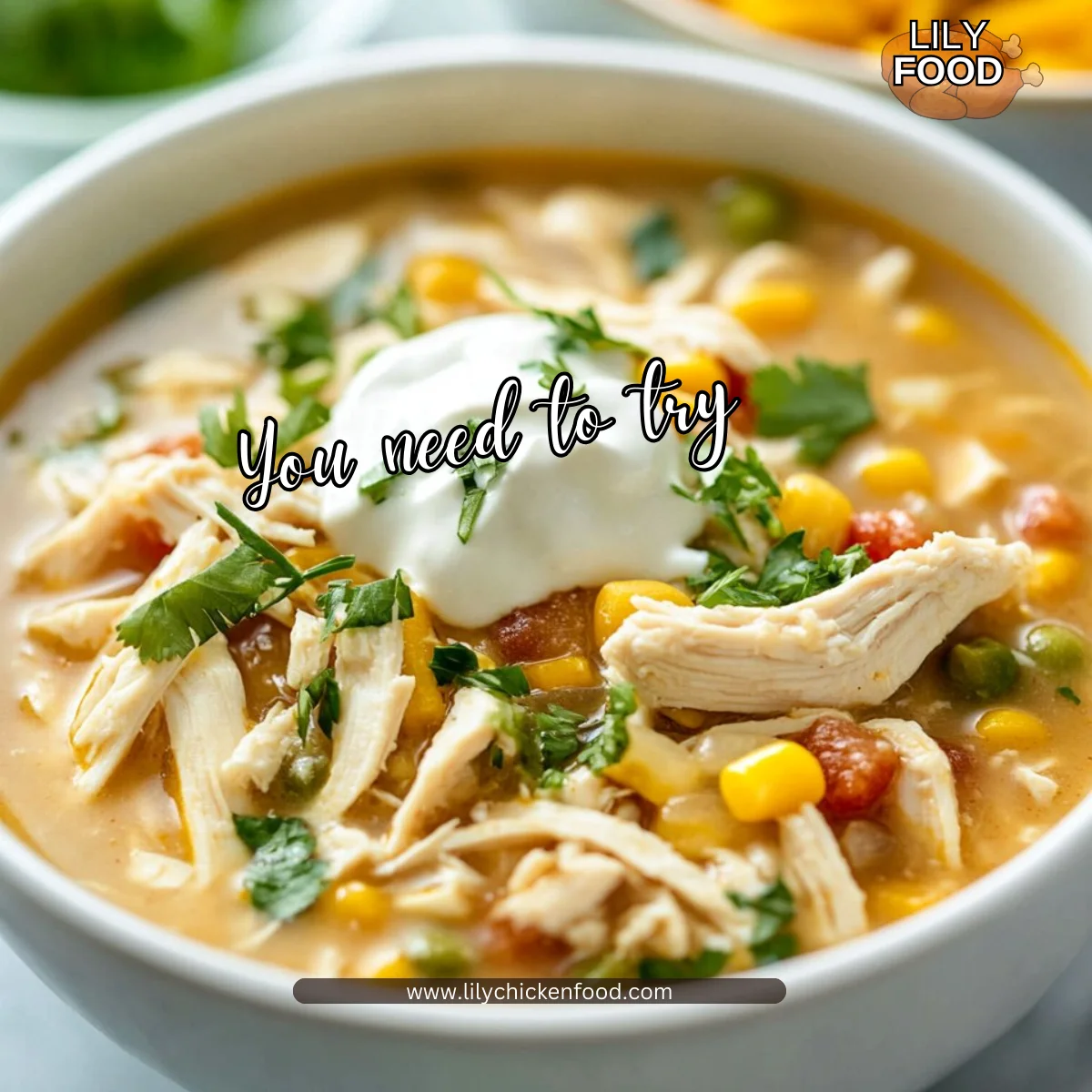 This White Chicken Chili recipe is easy to make on the Stove Top or in the Slow Cooker!
