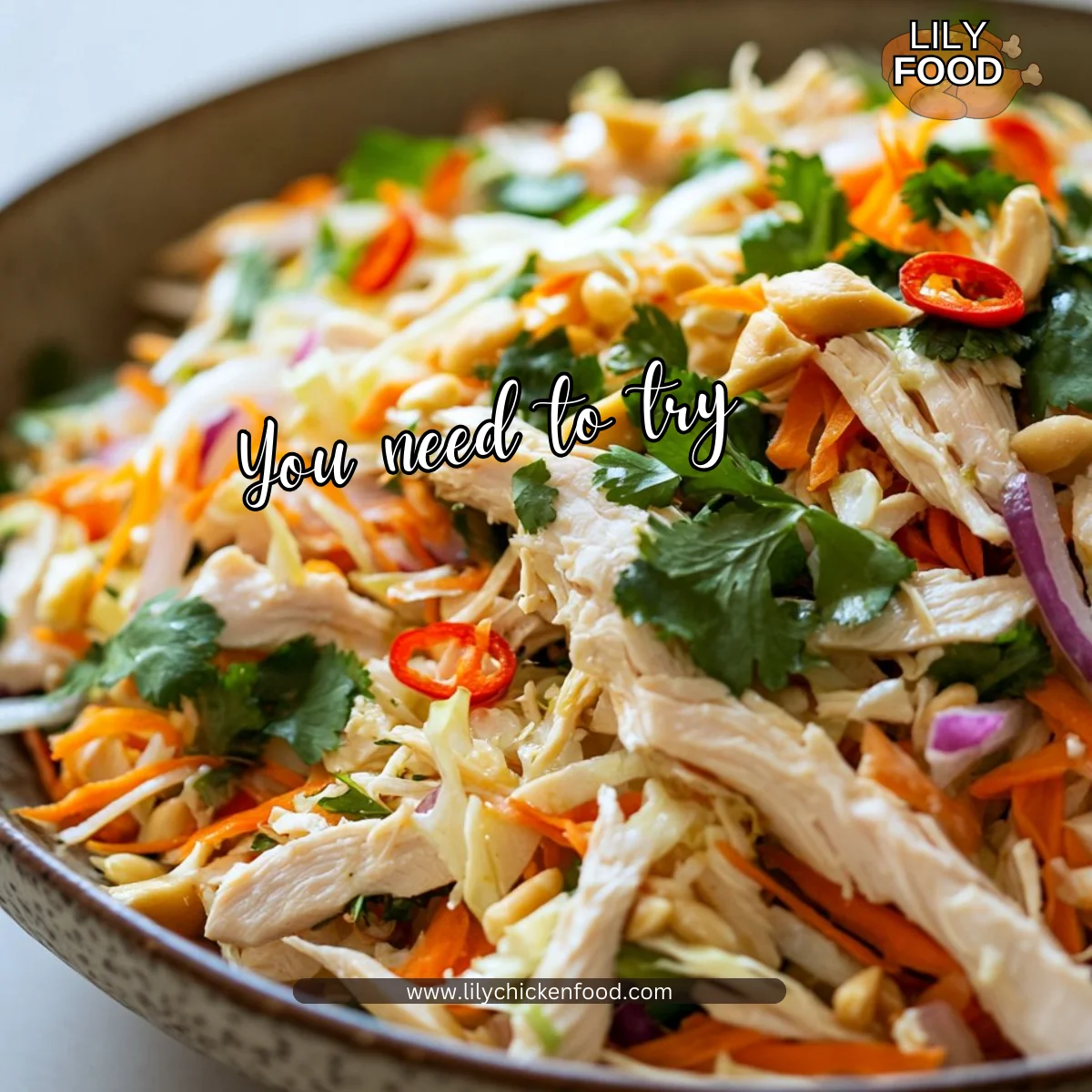 Vietnamese Chicken Salad