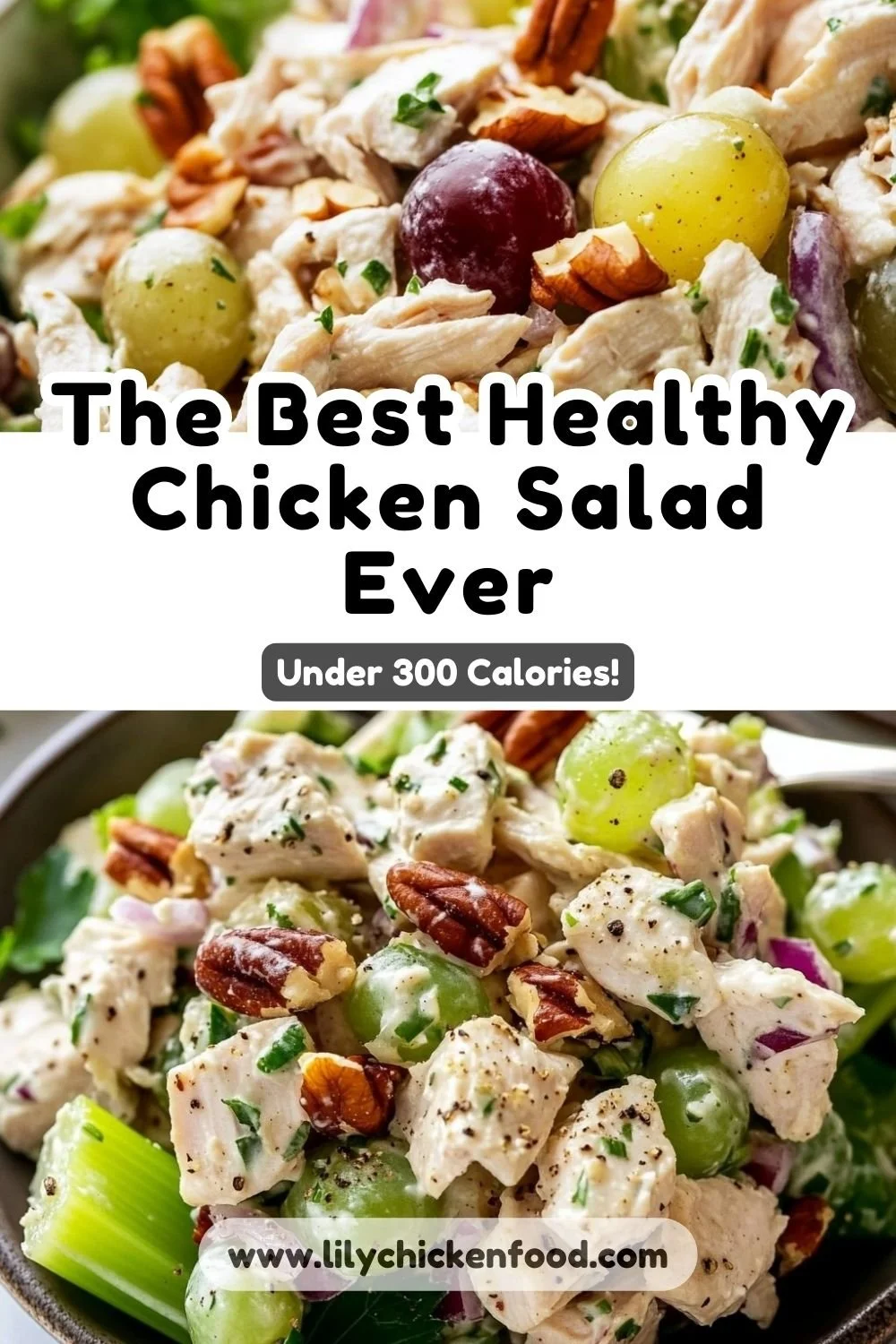 The BEST Healthy Chicken Salad