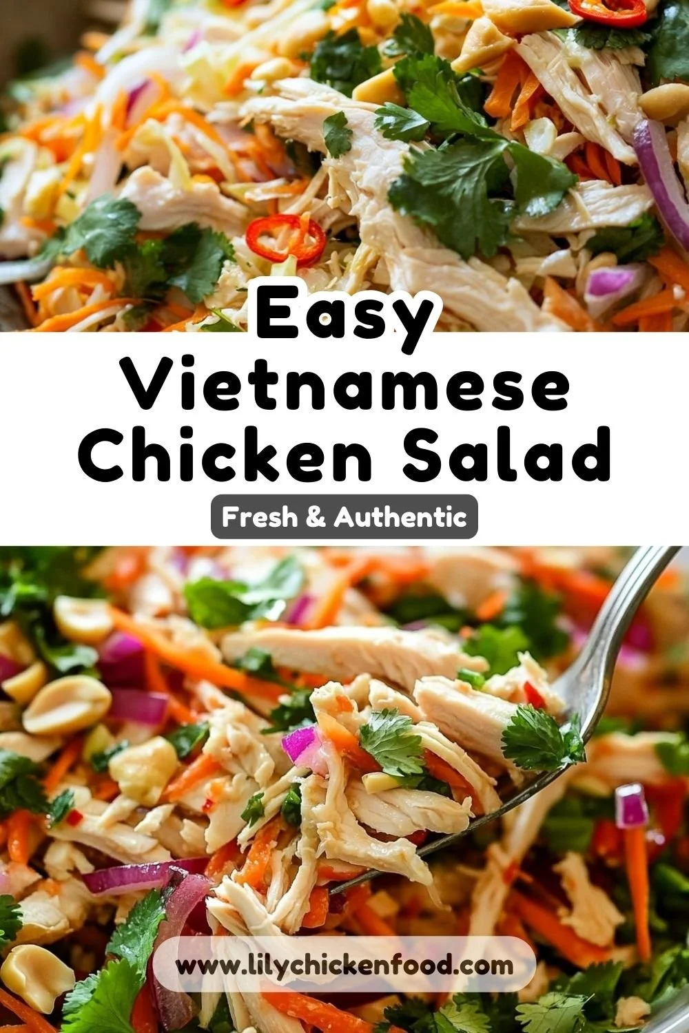 Vietnamese Chicken Salad