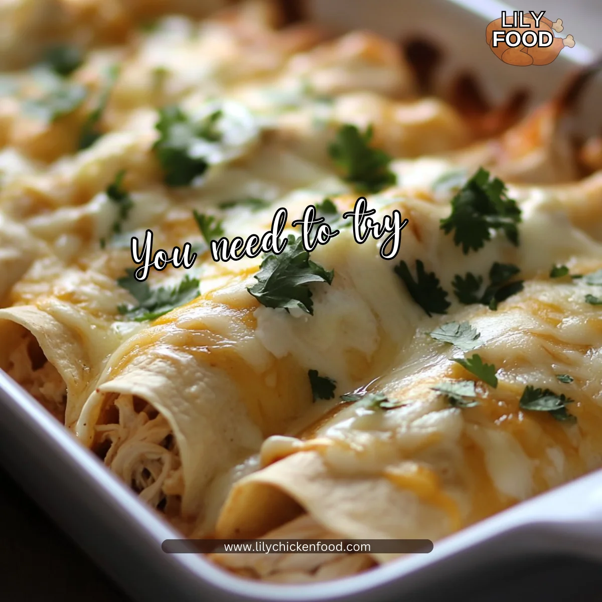 Chicken Enchiladas with Sour Cream Sauce