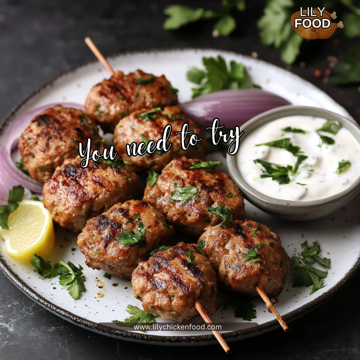 Chicken Kofta Garlic Yogurt Sauce