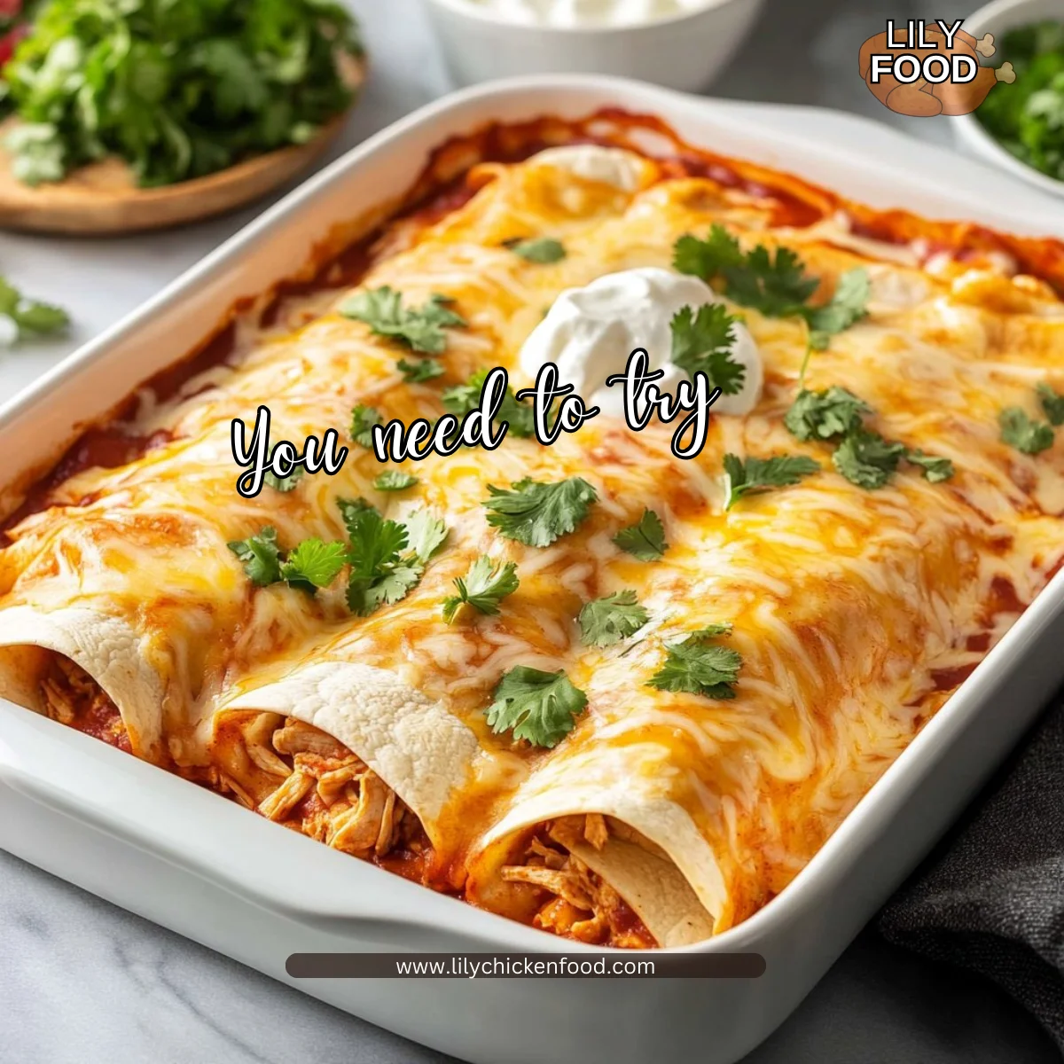 Delicious Chicken Enchiladas