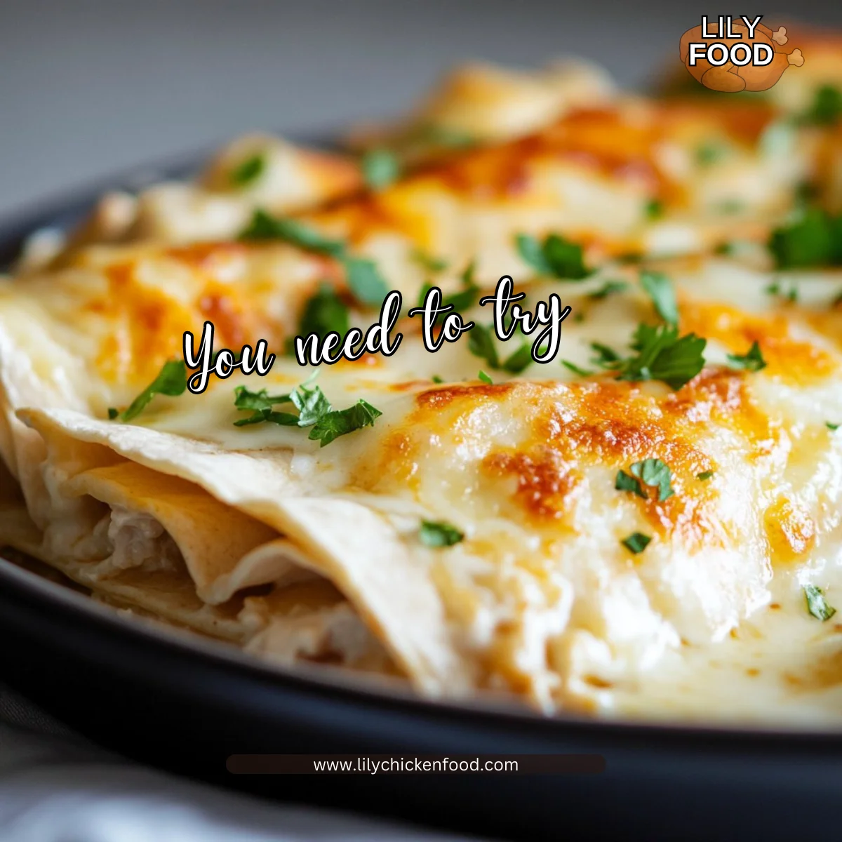 High Protein Chicken Enchiladas