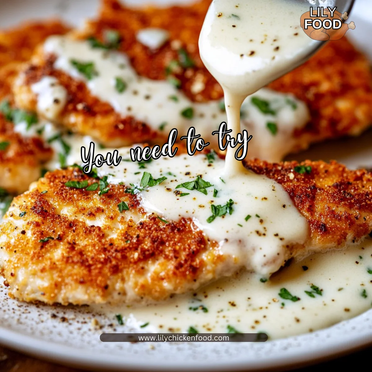 Parmesan Crusted Chicken with Creamy Garlic Sauce – Easy Family Dinner Recipe