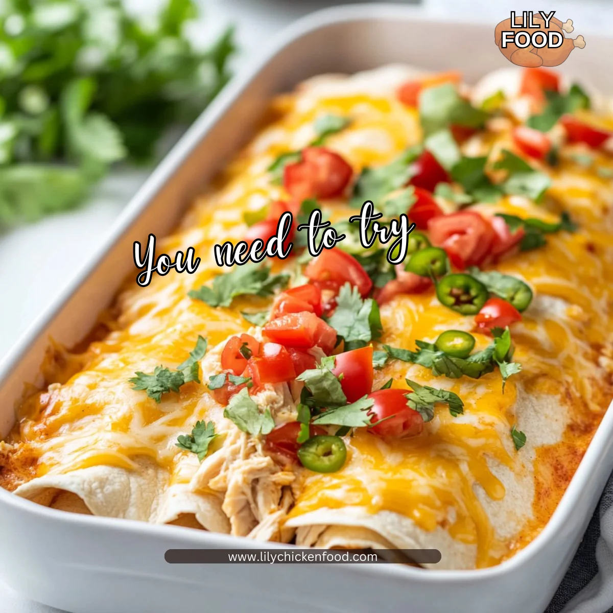 Queso Chicken Enchiladas for a Quick and Cheesy Dinner Delight