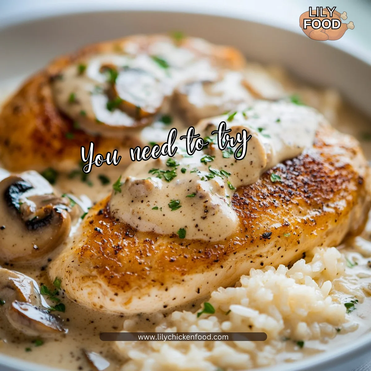 Smothered Chicken and Rice