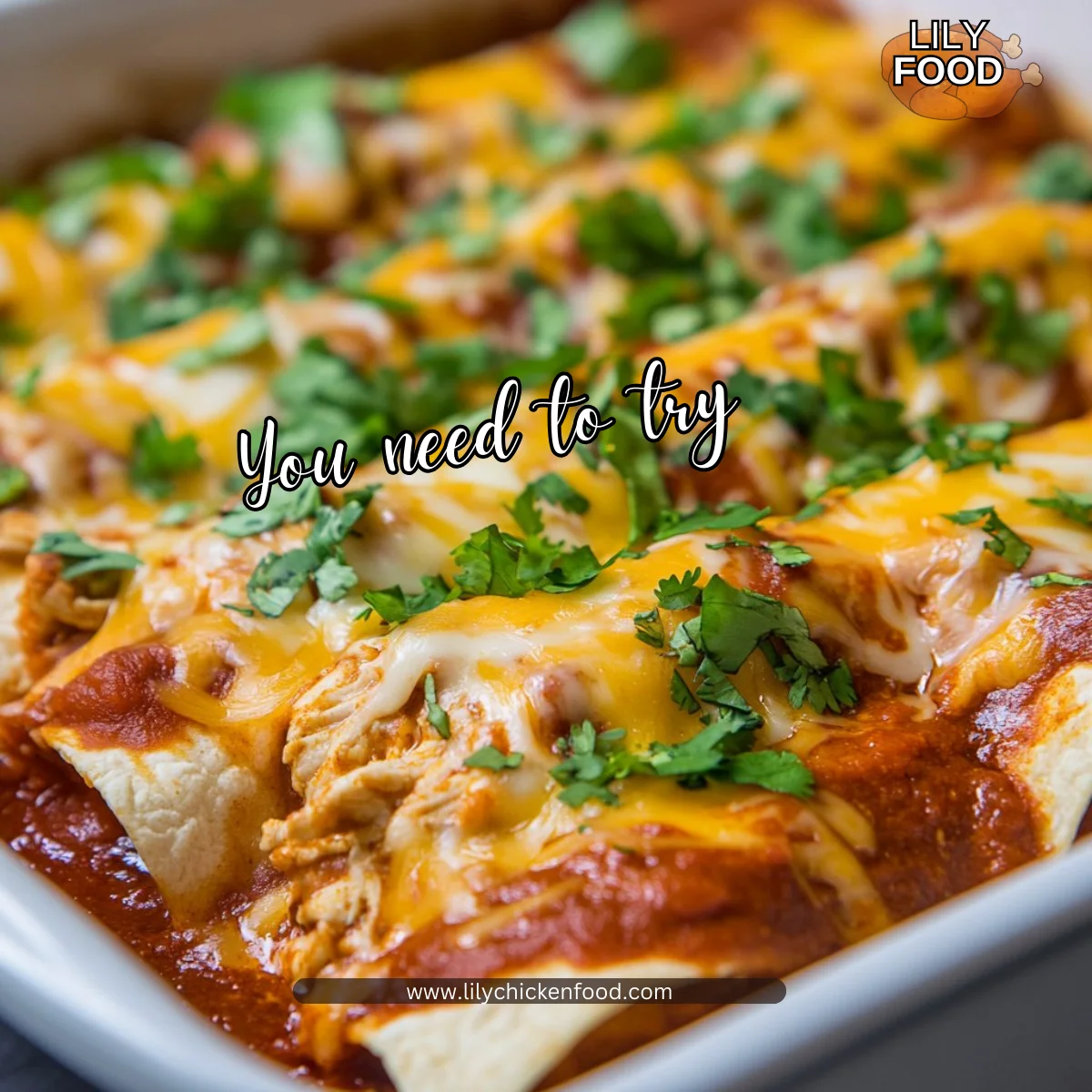 Chicken Enchiladas with Homemade Red Enchilada Sauce